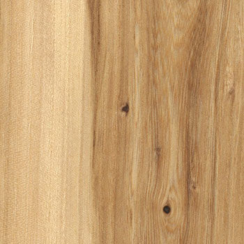 American Elm wood - sealed