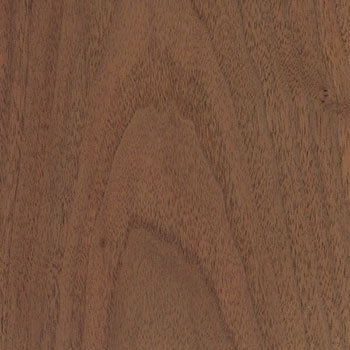 Black Walnut wood - sealed