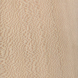 Sycamore wood